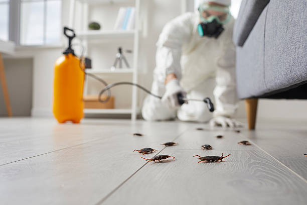 Commercial Kitchen Cockroach Control in Ranlo